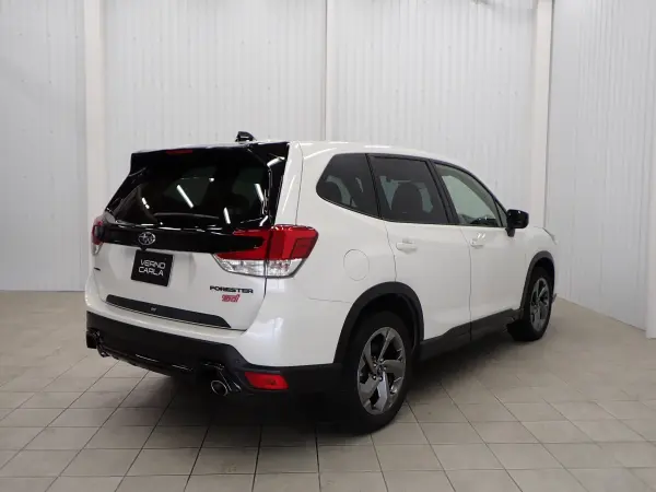 2022 Subaru Forester — photo 7 | Tuminion Kenya