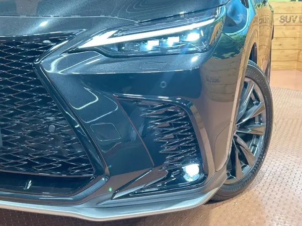 2024 Lexus Nx — photo 8 | Tuminion Kenya