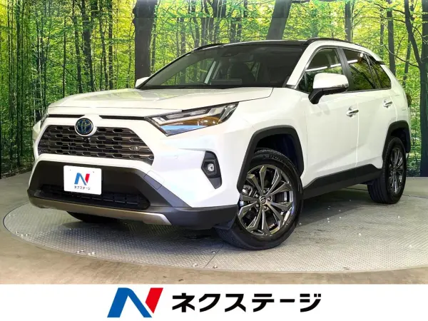 Toyota Toyota  RAV4 2023