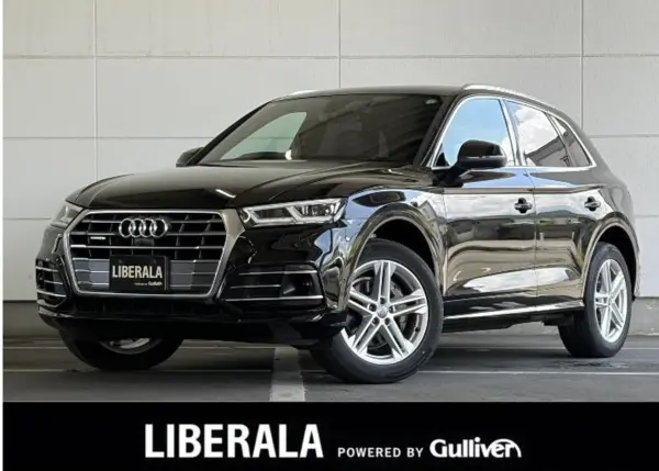 2019 Audi Q5 — photo 1