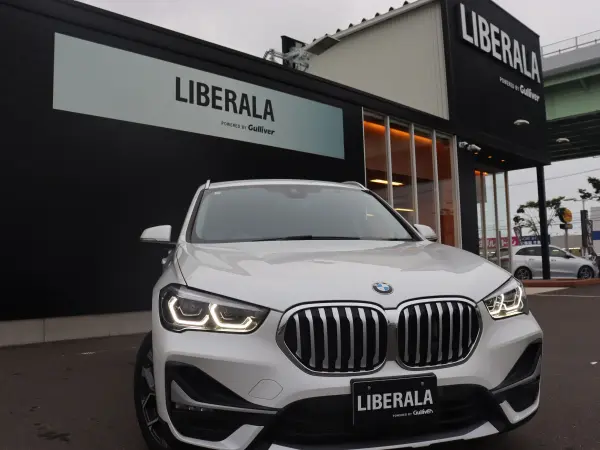 2021 Bmw X1 — photo 8 | Tuminion Kenya