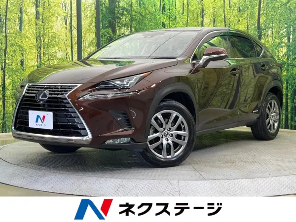 Lexus Lexus NX 2019