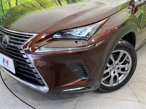 2019 Lexus Nx — photo 8 | Tuminion Kenya