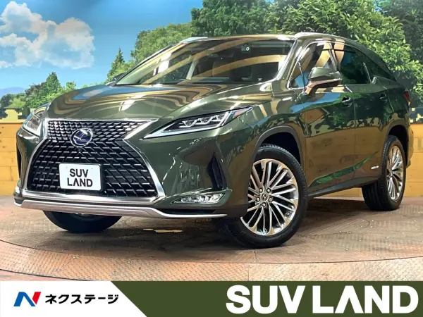 2021 Lexus Rx — photo 1