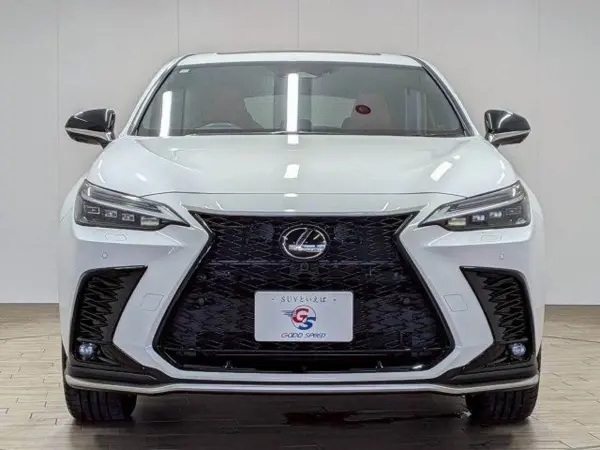 2023 Lexus Nx — photo 9 | Tuminion Kenya
