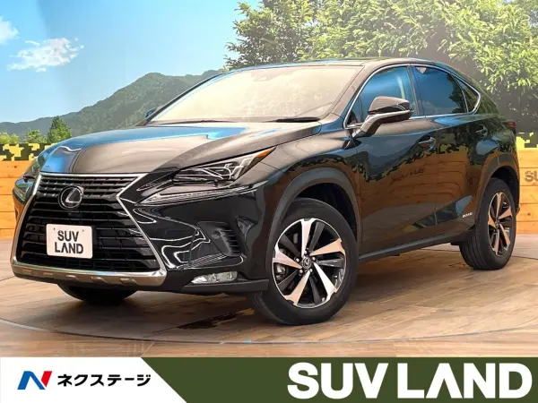 2021 Lexus Nx — photo 1