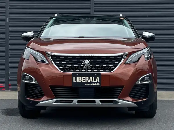 2020 Peugeot 3008 — photo 9 | Tuminion Kenya