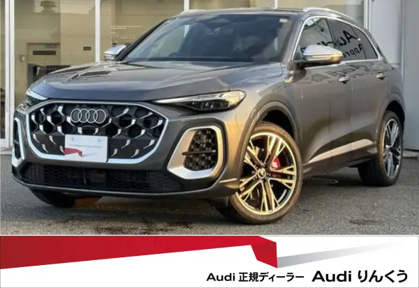 2025 Audi Sq5 — photo 1