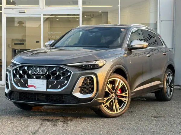 2025 Audi Sq5 — photo 7 | Tuminion Kenya