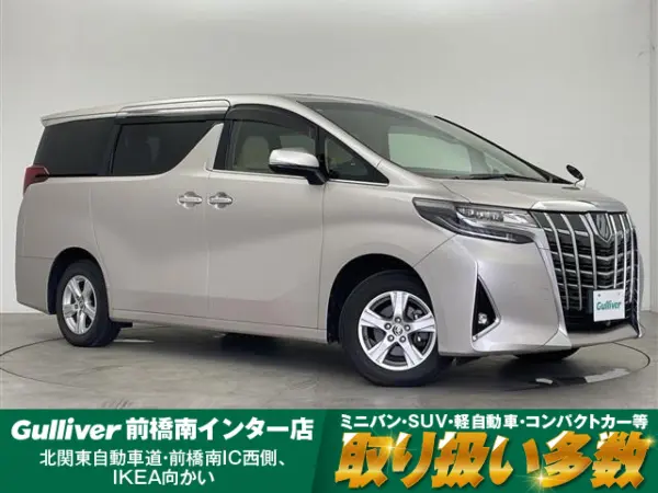 2019 Toyota Alphard — photo 1