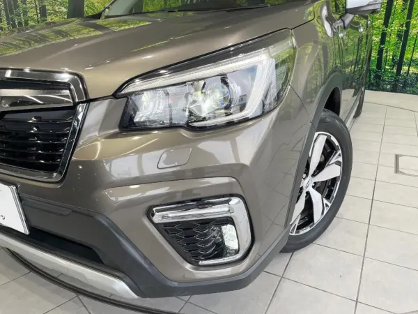 2019 Subaru Forester — photo 8 | Tuminion Kenya
