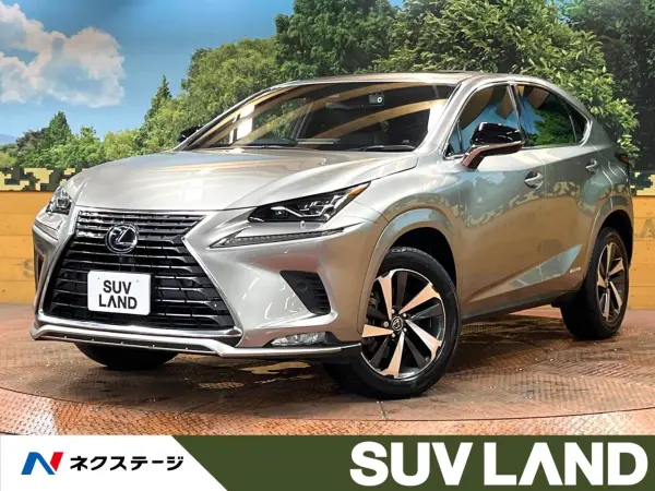 2021 Lexus Nx — photo 1