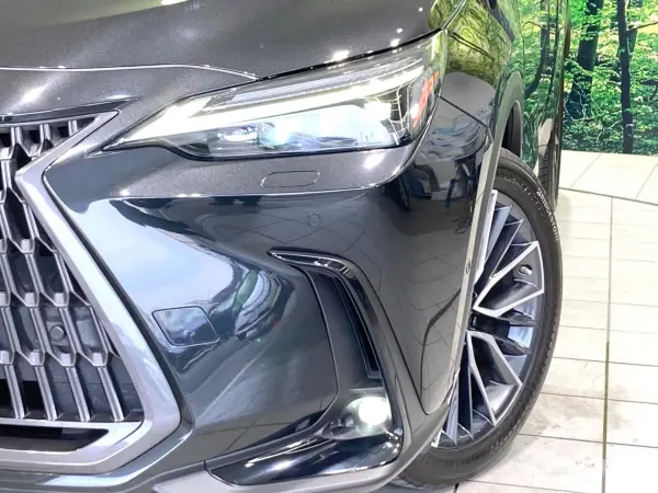 2023 Lexus Nx — photo 9 | Tuminion Kenya