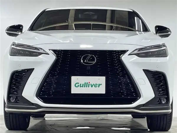 2023 Lexus Nx — photo 9 | Tuminion Kenya