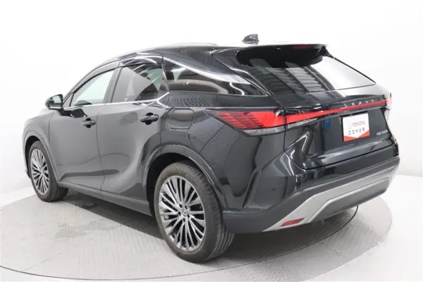 2024 Lexus Rx — photo 2 | Tuminion Kenya