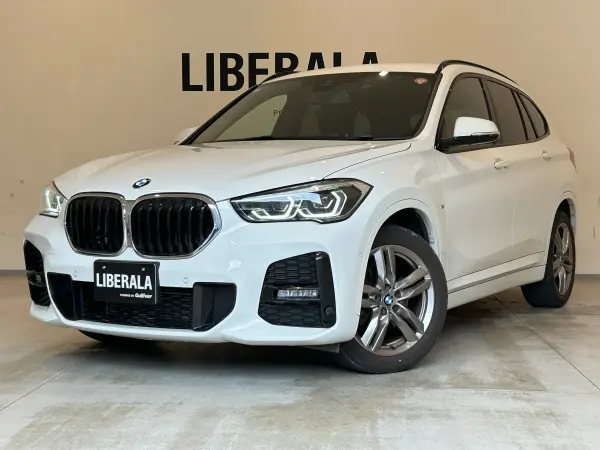 2021 Bmw X1 — photo 9 | Tuminion Kenya