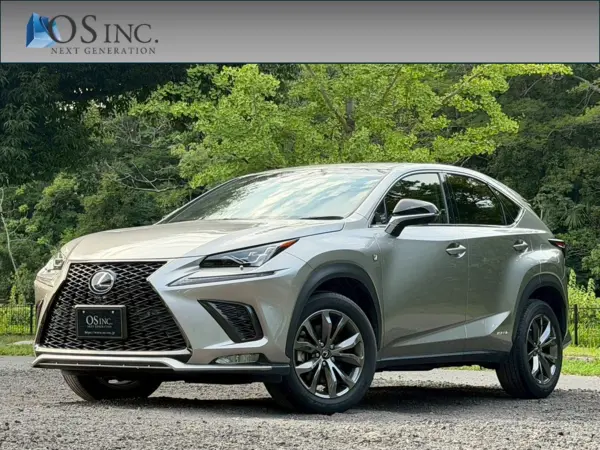 Lexus Lexus NX 2018