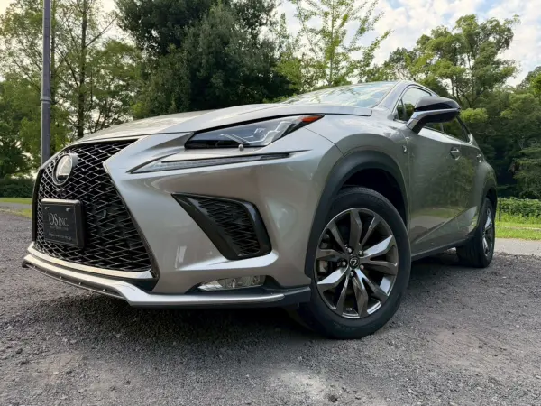 2018 Lexus Nx — photo 9 | Tuminion Kenya