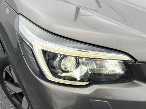 2019 Subaru Forester — photo 8 | Tuminion Kenya