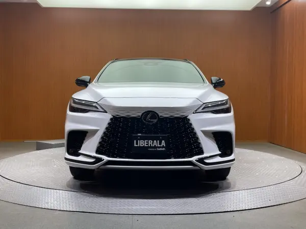 2024 Lexus Rx — photo 8 | Tuminion Kenya