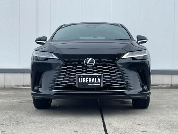 2024 Lexus Rx — photo 8 | Tuminion Kenya