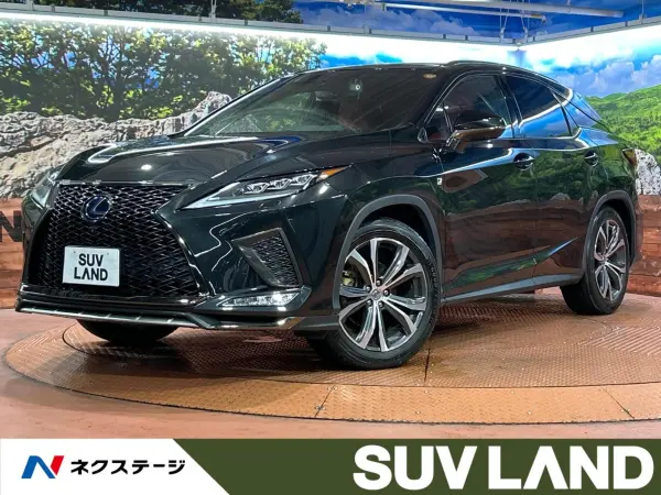 2020 Lexus Rx — photo 1