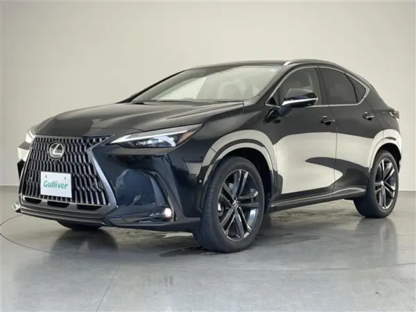 2025 Lexus Nx — photo 9 | Tuminion Kenya