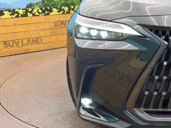 2023 Lexus Nx — photo 8 | Tuminion Kenya