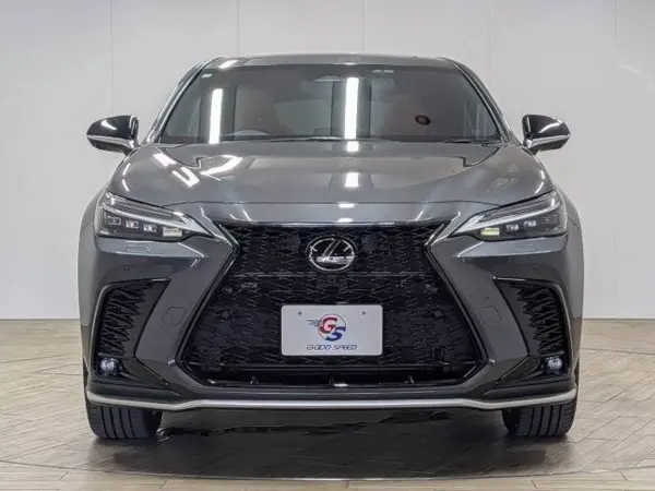 2023 Lexus Nx — photo 8 | Tuminion Kenya