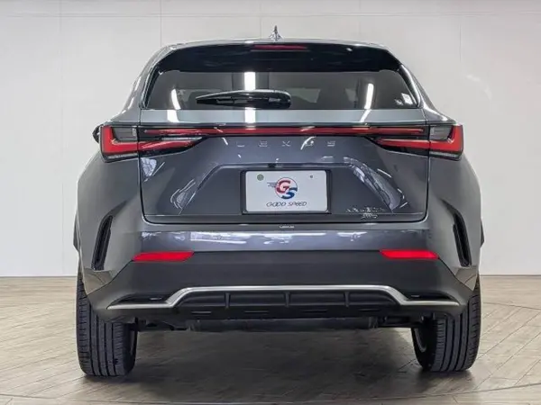 2023 Lexus Nx — photo 9 | Tuminion Kenya