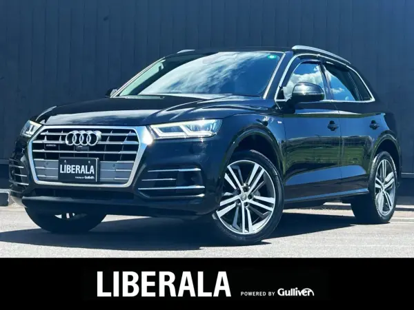 2019 Audi Q5 — photo 1