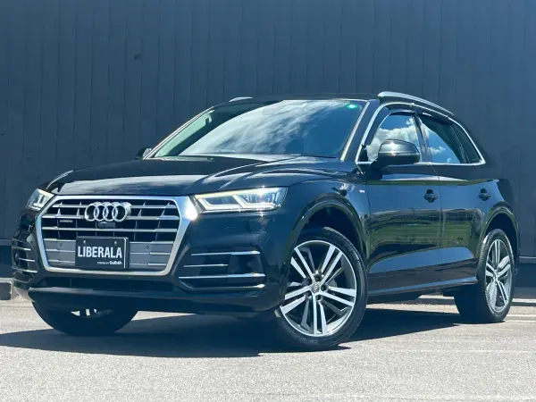 2019 Audi Q5 — photo 8 | Tuminion Kenya