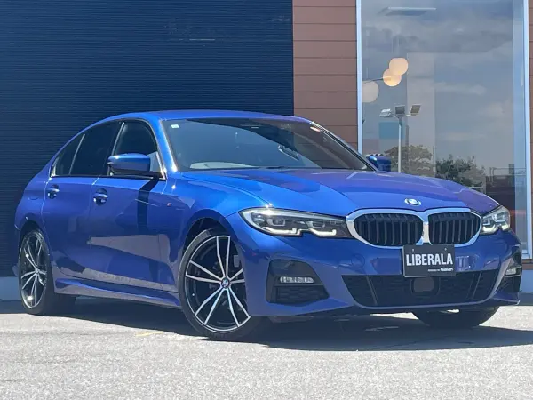 2019 Bmw 3 Series — photo 9 | Tuminion Kenya