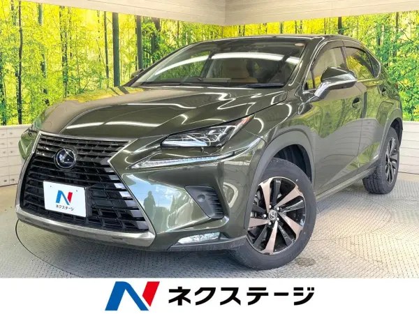 2021 Lexus Nx — photo 1