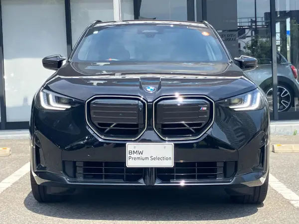 2025 Bmw X3 — photo 3 | Tuminion Kenya