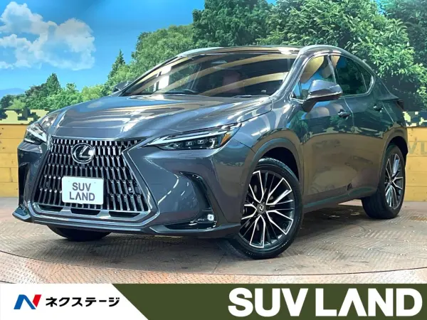 2023 Lexus Nx — photo 1