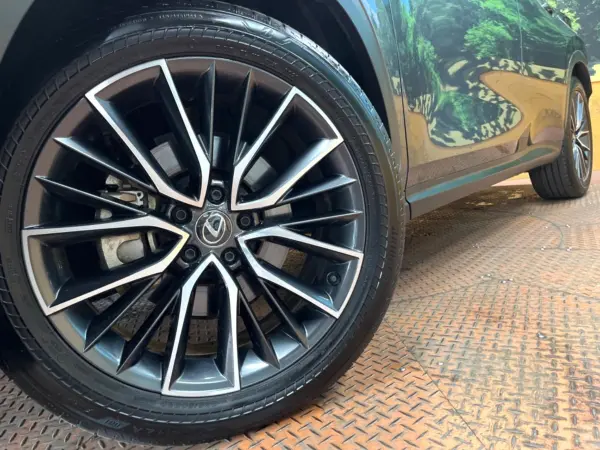 2023 Lexus Nx — photo 9 | Tuminion Kenya