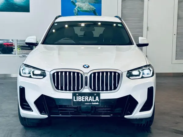 2023 Bmw X3 — photo 8 | Tuminion Kenya