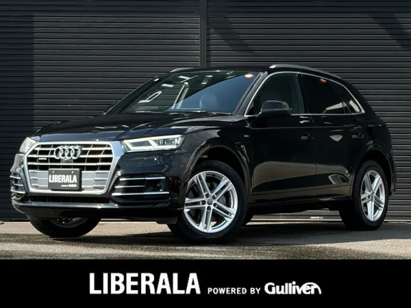2019 Audi Q5 — photo 1
