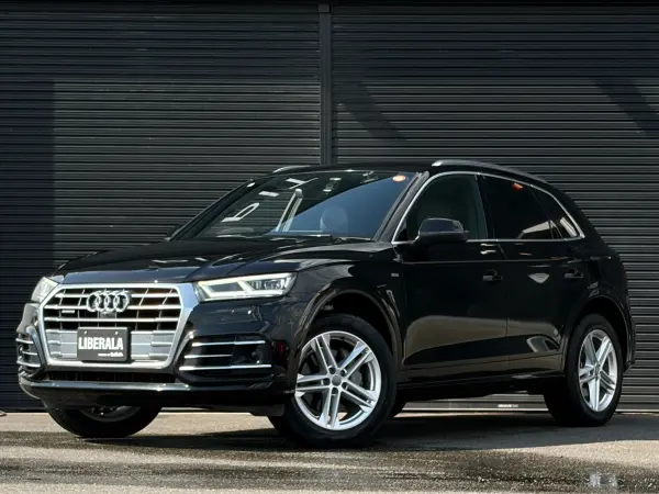 2019 Audi Q5 — photo 8 | Tuminion Kenya