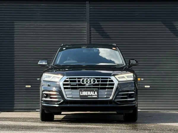 2019 Audi Q5 — photo 9 | Tuminion Kenya