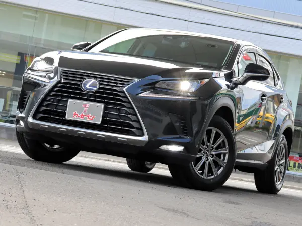 2018 Lexus Nx — photo 7 | Tuminion Kenya