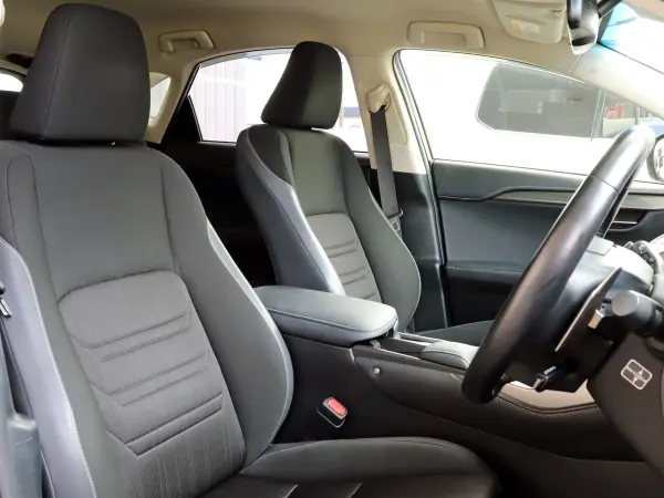 2018 Lexus Nx — photo 9 | Tuminion Kenya