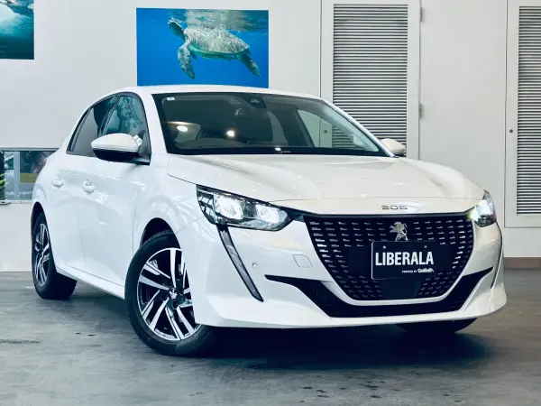 2020 Peugeot 208 — photo 7 | Tuminion Kenya