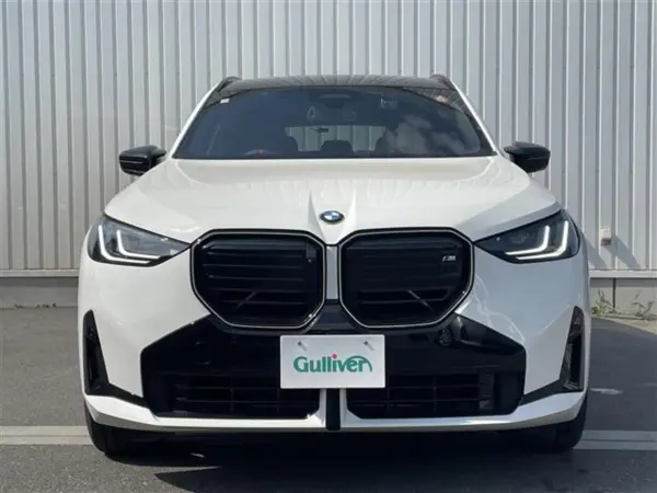 2025 Bmw X3 — photo 3 | Tuminion Kenya