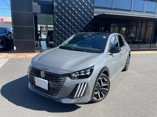 2025 Peugeot 208 — photo 1
