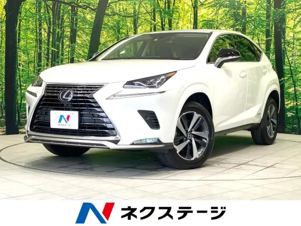 2021 Lexus Nx — photo 1