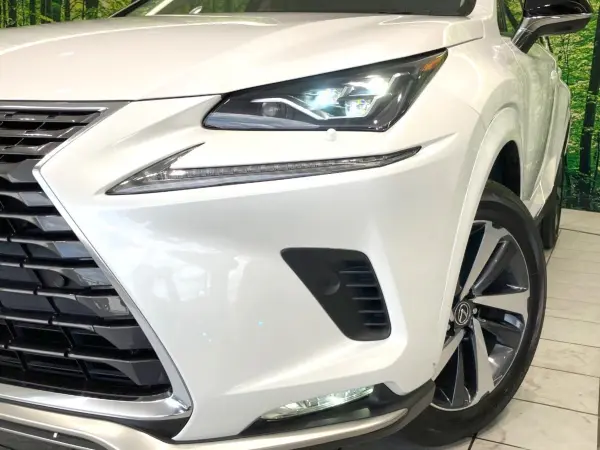 2021 Lexus Nx — photo 8 | Tuminion Kenya