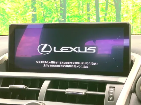 2021 Lexus Nx — photo 3 | Tuminion Kenya