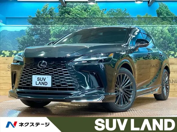 2024 Lexus Rx — photo 1